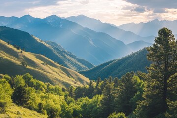 A magnificent panoramic view of the wild and virgin Ukrainian nature, surrounded by the mighty Carpathians Mountains. Beauty and serenity are in abundance here.