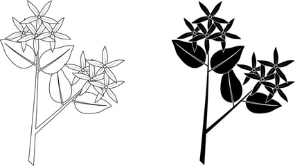 Poster - outline silhouette jasmine branch icon set