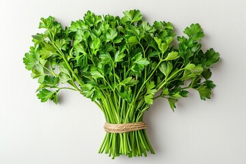 Wall Mural - Fresh Parsley Bouquet