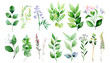 © LOVE VECTOR - Watercolor Botanical Elements Assortment vector illustration, perfect for elegant designs, green leaf branches collection, watercolor leaves for weddings, greetings, stationery, wallpapers