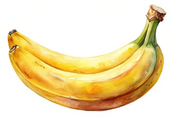 a detailed watercolor illustration of a ripe banana isolated on a white background, realistic, nutri