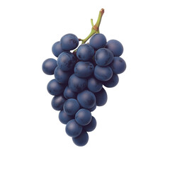 Wall Mural - Grapes clustered on vine isolated on transparent background