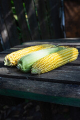 cobs of fresh corn on an old rustic table