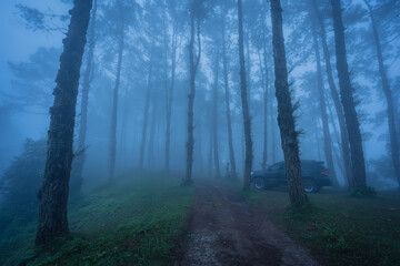 Beautiful scenery of the mist in the morning at the Camp Car Camping Site nature of Huai Nam Dang National Park the famous place of travel attraction destination at Chiang Mai, Thailand.