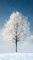 Wall Mural - a beautiful tree, covered in snow, stands alone in the snowy field against a blue sky