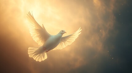 Wall Mural - A white dove soars through a bright, golden, cloudy sky.