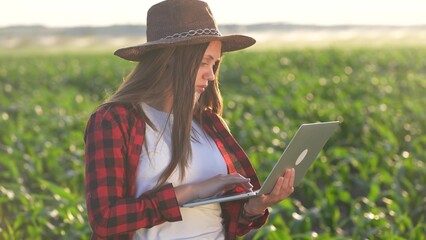 girl farmer working with laptop in irrigation a corn field. agriculture business lifestyle farm concept. female farmer examines green sprouts of corn on the background of watering irrigation