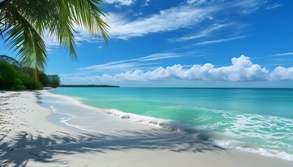 Tropical paradise featuring pristine white sands, vibrant turquoise waters, fluffy clouds in a blue sky, and a palm tree swaying over the inviting ocean