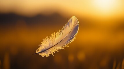 Wall Mural - a single white feather floats gently in the air against a warm sunset sky.