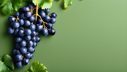 Luscious grapes against a vibrant green backdrop