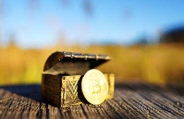 Bitcoin coin and Treasure Chest ..Cryptocurrency as treasure. BTC Crypto mining investing. Treasure box with Bitcoin gold coin money. Treasure Chest on Tree stump on forest nature background.