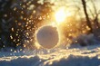 © MrHamster - A Snowball Soaring Through the Golden Sunset