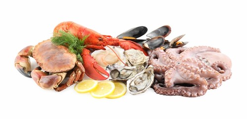 Wall Mural - Fresh raw octopus and different sea food isolated on white