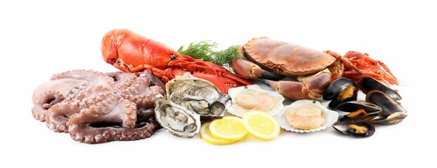 Wall Mural - Fresh raw octopus and different sea food isolated on white