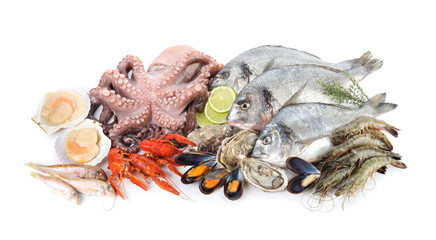 Wall Mural - Fresh fish and different sea food isolated on white