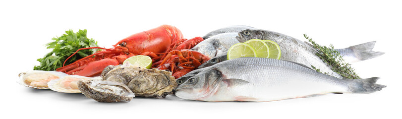 Wall Mural - Fresh fish and different sea food isolated on white