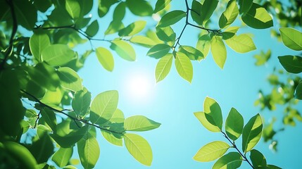 Canvas Print - Sunlight shining through green leaves against a bright blue sky.