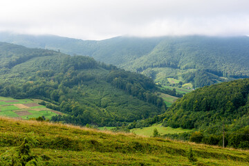 mountainous countryside landscape in autumn. green fields and trees on the hill. cloudy day. view in to the distant valley. beautiful outdoor scenery of carpathians. rural region of ukraine