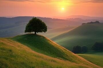 Wall Mural - A Single Tree on a Hilltop Against a Sunset Sky Over Rolling Green Hills