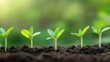 © patungkead - Young Green Seedlings Growing in Soil with Blurred Natural Background