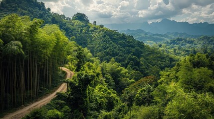 Winding Road Through Lush Green Mountains