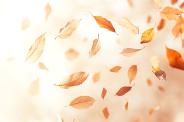 Wall Mural - leaves falling in the air leaf blossom flower.