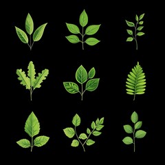 Wall Mural - Set of green leaves icons on a black background. Vector illustration