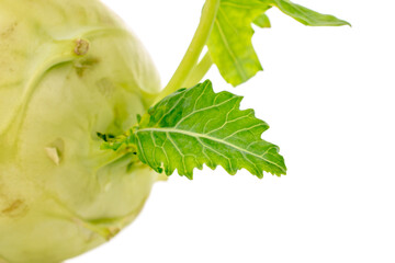 Wall Mural - One ripe kohlrabi, macro, isolated on white background.