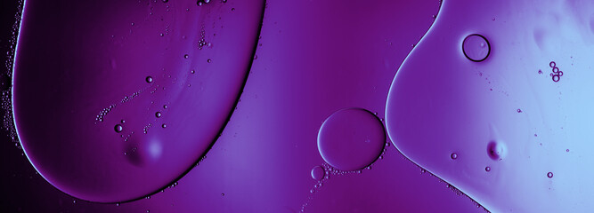 pastel background with elegant fluid lines