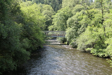 A small bridge crosses a peaceful river, with trees lining the edges, their branches dipping into the water. The summer sky is a clear, vibrant blue, casting reflections on the gently flowing stream.