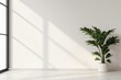 © Pikul - A bright interior space featuring a lush plant beside a large window, enhancing the minimalistic aesthetic of the room.