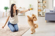 © Studio Romantic - Young happy smiling female owner playing with joyful little cute dog at home with a toy enjoying leisure together. Cheerful woman training her pet in living room. Animal care and love concept.
