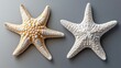 © Bilal - Two different types of white starfish isolated on a transparent background