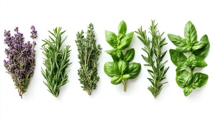 Set of fresh Mediterranean herbs and spices isolated on a transparent background