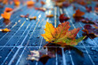 © Firn - Close up of colorful autumn leaves and rain on photovoltaics solar panel