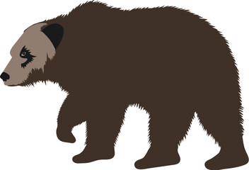 Furry fuzzy dark brown grizzly bear vector illustration