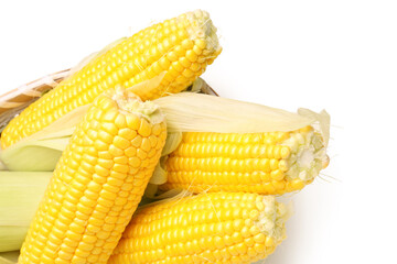 Canvas Print - Wicker bowl with fresh corn cobs on white background