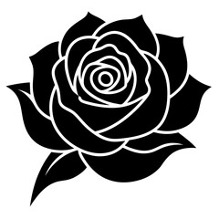 Wall Mural - black and white rose vector illustration