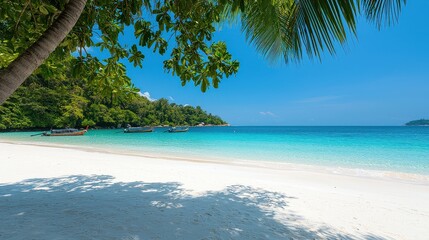 Aufkleber - A beautiful beach with palm trees and a clear blue ocean. The beach is empty and the water is calm