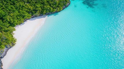 Aufkleber - A beautiful blue ocean with a sandy beach. The water is calm and the sky is clear. The beach is surrounded by lush green trees, giving the scene a serene and peaceful atmosphere