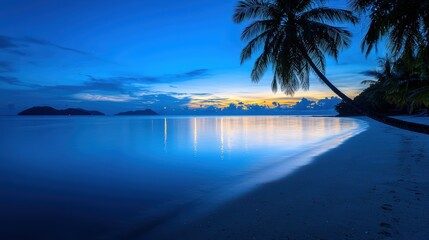 A beautiful beach with a palm tree in the background. The water is calm and the sky is a deep blue