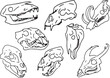 © an - Set Line Halloween Clip art llustration animal skull Ink linear drawing western style coloring. Modern minimalist print design element dead creature contour deceased cattle ram skull outline sheep cow