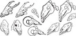 © an - Set Line Halloween Clip art llustration animal skull Ink linear drawing western style coloring. Modern minimalist print design element dead creature contour deceased cattle ram skull outline sheep cow