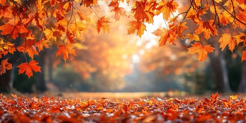 autumn tree in idyllic beautiful blurred autumn landscape panorama with fall leaves in sunshine, advertising space on leaf ground, a day outdoors in golden october, cheerful fall leaf season concept