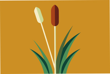  Cattail water plant vector art illustration