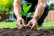 © Sanchai - A gardener planting a new sapling in a backyard, symbolizing growth and care for the environment