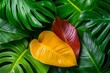 © Sanchai - A hyper-realistic shot of a tropical plant with thick, glossy leaves, showing the fine details of the plantâ€™s surface and vibrant colors