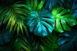 © Sanchai - A hyper-realistic shot of a tropical plant with thick, glossy leaves, showing the fine details of the plantâ€™s surface and vibrant colors
