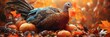 © Irina Ukrainets - A colorful turkey rests among pumpkins and fallen leaves. The warm hues create a cozy autumn scene. Perfect for seasonal decorations and themes. Captivating wildlife in nature. AI