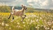© VK Studio - A playful baby goat joyfully leaps through a sunlit meadow filled with wildflowers, embodying freedom and nature.